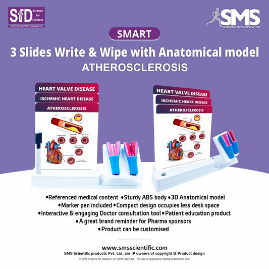 Atherosclerosis: Smart -3 Slides Write & Wipe With Anatomical Model