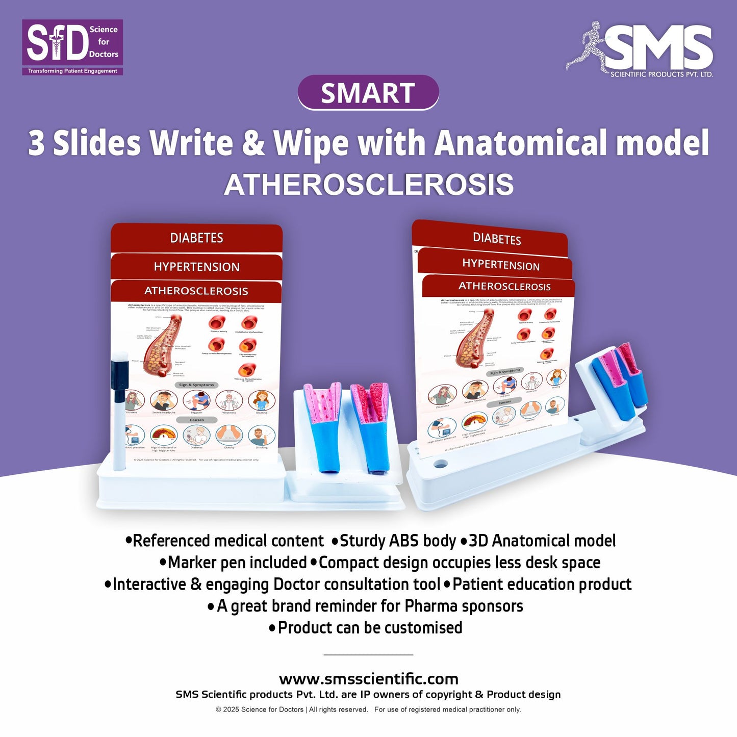 Atherosclerosis: Smart -3 Slides Write & Wipe With Anatomical Model