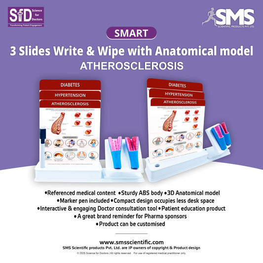Atherosclerosis: Smart -3 Slides Write & Wipe With Anatomical Model