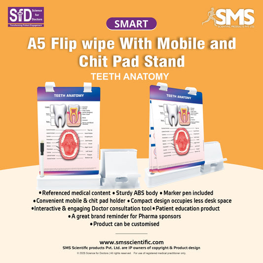 Smart -A5 Flip wipe With Mobile and Chit Pad Stand  -  Teeth Anatomy