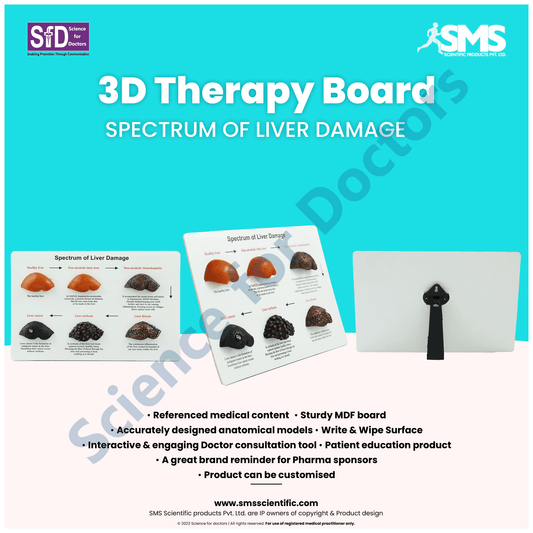 Spectrum of Liver Damage: 3d therapy Board