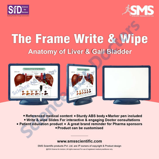 Anatomy of Liver & Gall Bladder: The Frame Write & Wipe