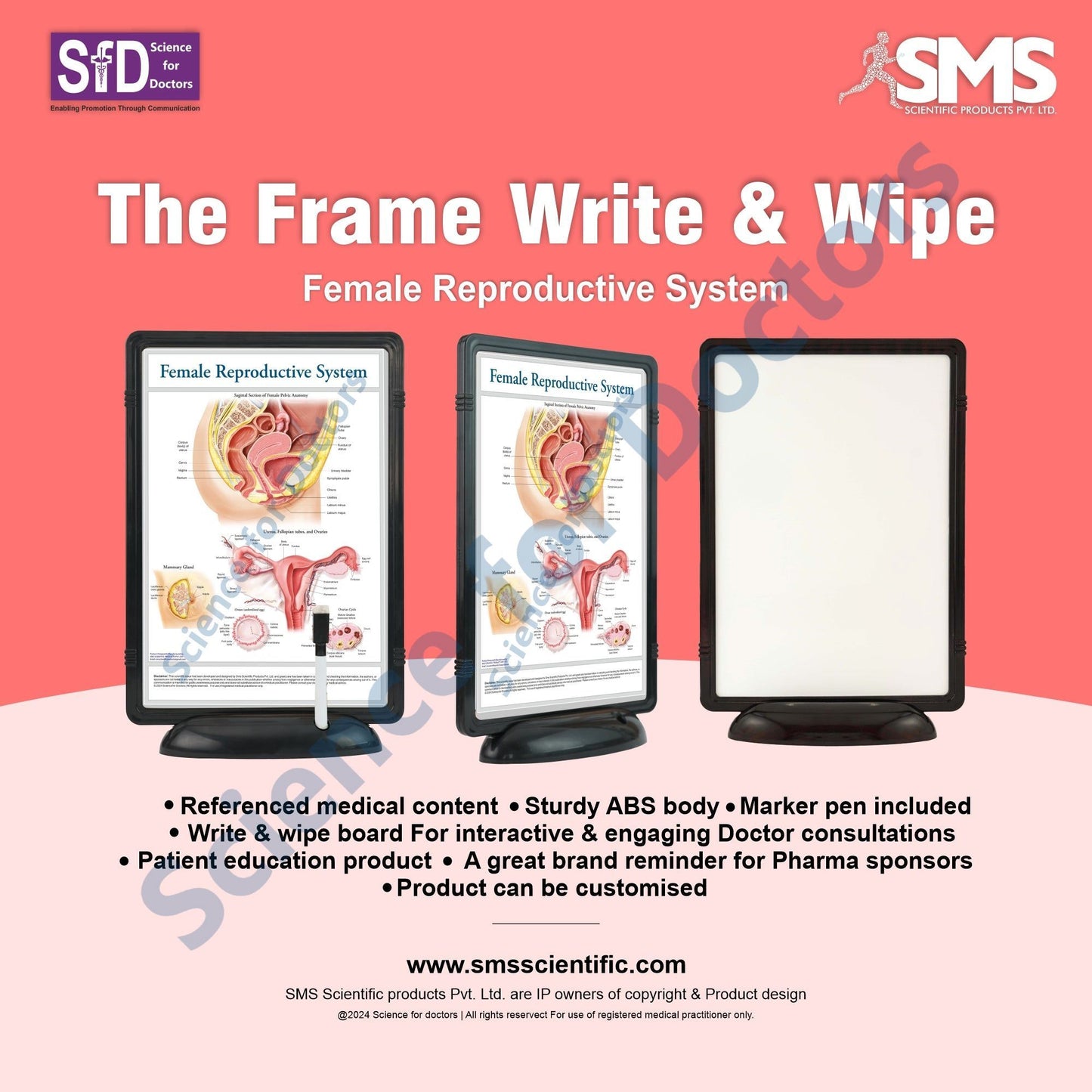 Female Reproductive System: The Frame Write & Wipe