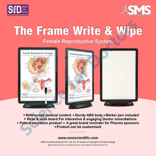 Female Reproductive System: The Frame Write & Wipe