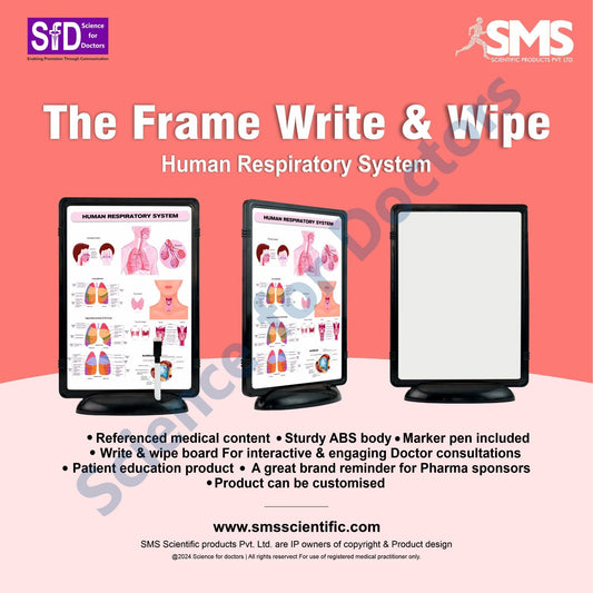 Human Respiratory System: The Frame Write and Wipe