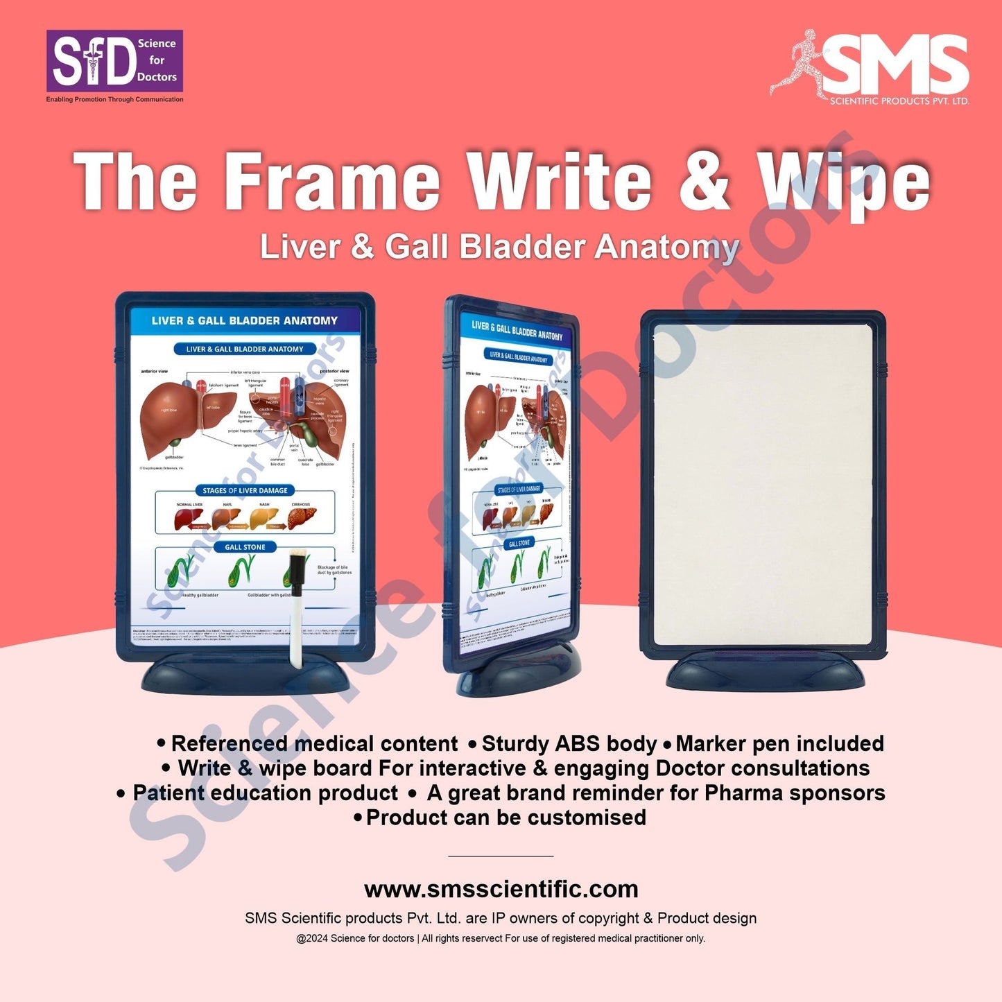 Liver & Gall Bladder Anatomy: The Frame Write & Wipe