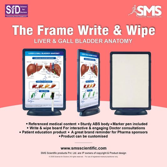 Liver & Gall Bladder Anatomy: The Frame Write & Wipe