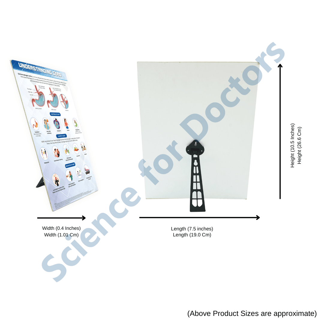 GERD: Therapy Board