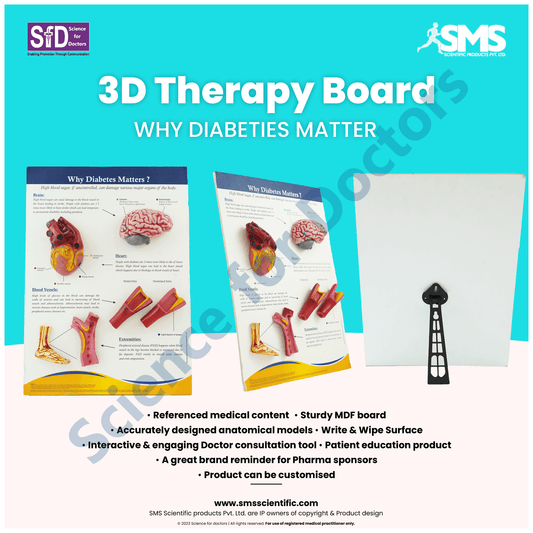 Why Diabetes Matter : 3d therapy Board