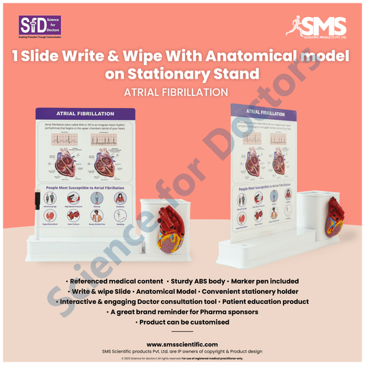 Atrial Fibrillation : 1 Slide Write and wipe with anatomical model on stationery stand